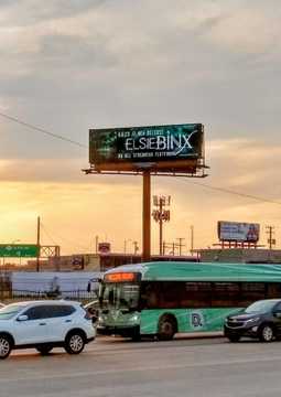 Elsie Binx